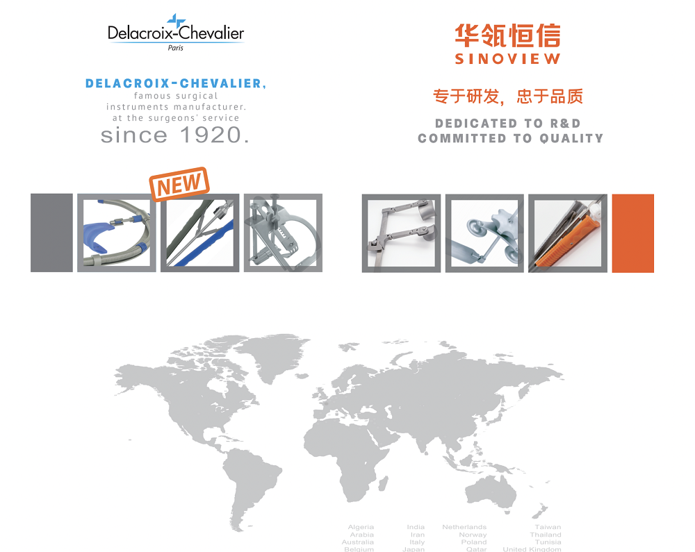 image (11).png