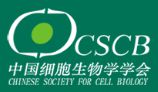中国细胞生物学学会