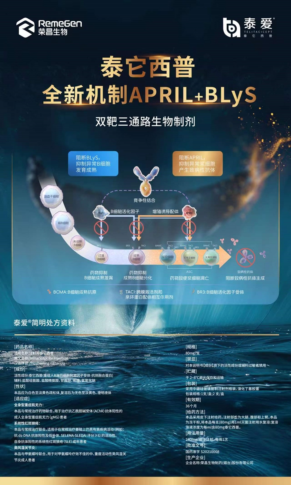 微信图片_20260519080601_496_109.jpg